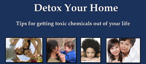 Detox Your Home Webinar