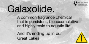Great Lakes polluted by Galaxolide