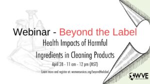 webinar on toxic chemicals in cleaning products